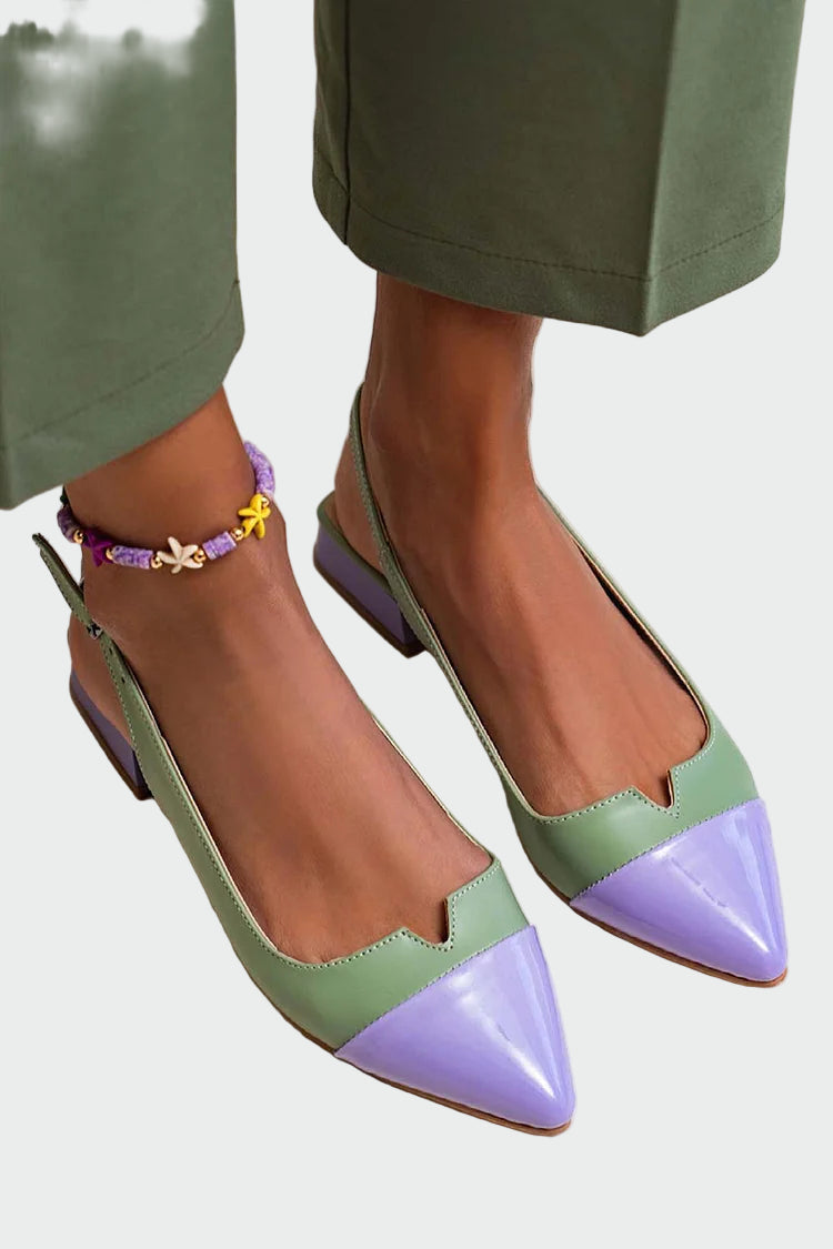 Alara | Pointed Toe Ballerinas with Two-Tone Details