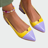 Alara | Pointed Toe Ballerinas with Two-Tone Details