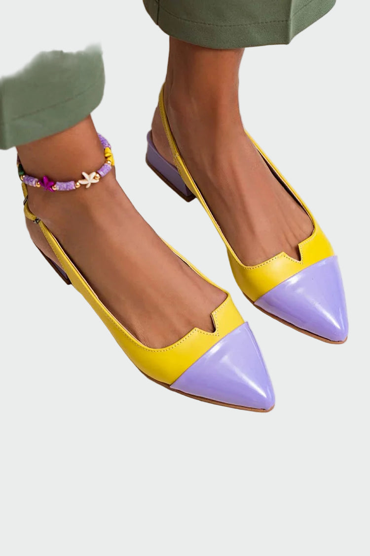 Alara | Pointed Toe Ballerinas with Two-Tone Details