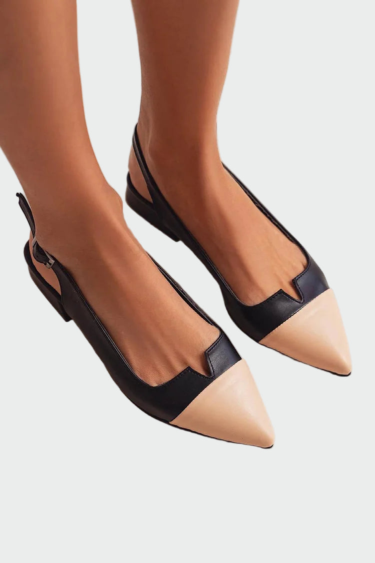 Alara | Pointed Toe Ballerinas with Two-Tone Details