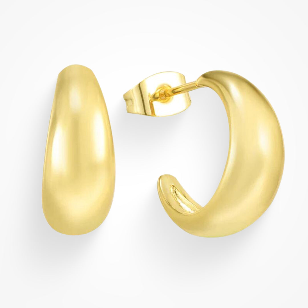 Earrings with Rings