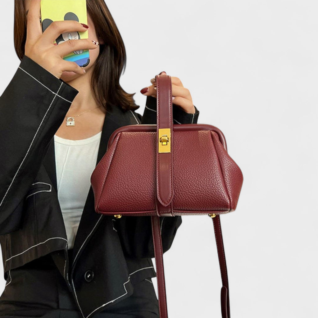 Daliborka | Vintage Chic Handbag