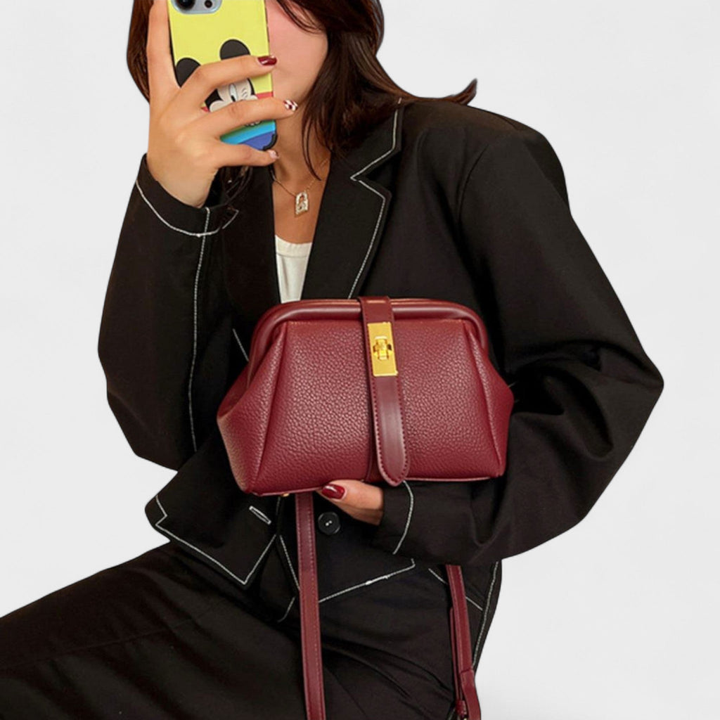 Daliborka | Vintage Chic Handbag