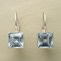 Timeless Blue Glass Earrings Harvest